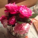 Pink Flowers in a vase