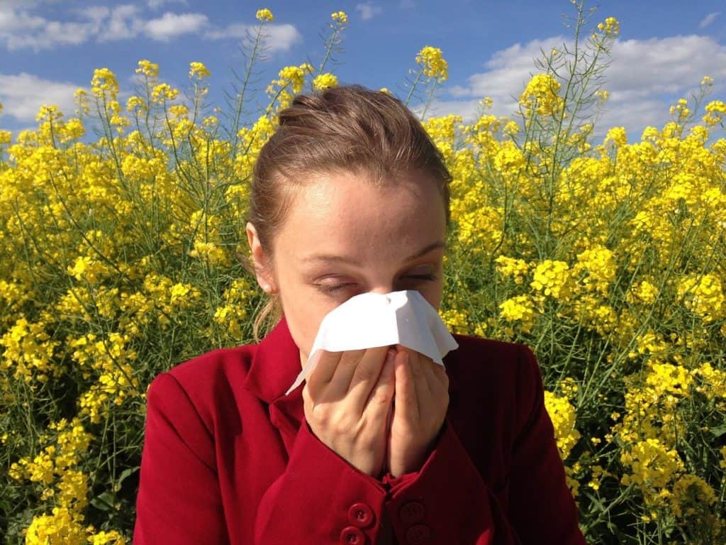 woman sneezing into tissue suffering from seasonal allergies due to poor gut health